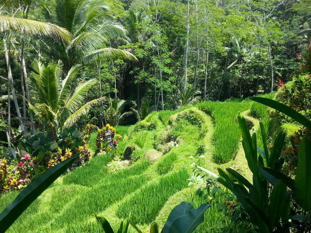 Villa Amrita Ubud Eksteriør billede