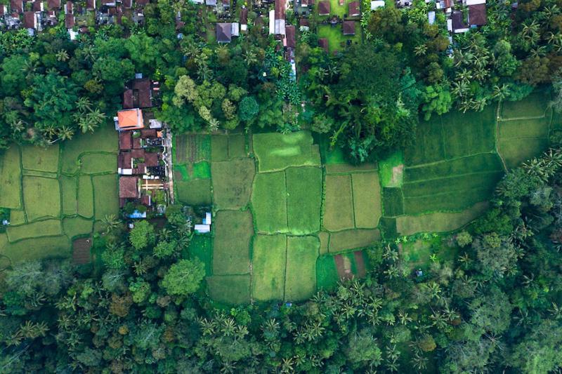 Villa Amrita Ubud Eksteriør billede