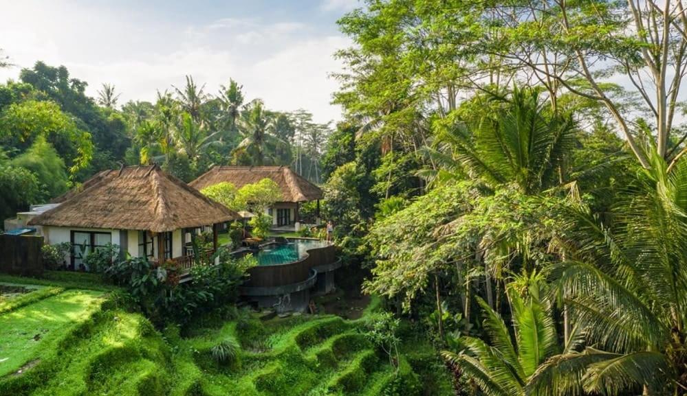 Villa Amrita Ubud Eksteriør billede